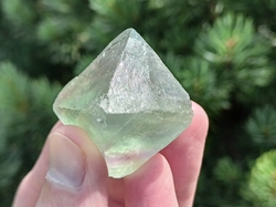 Fluorit zelený oktaedr 43,7 g 